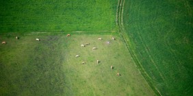 Luftaufnahme eines Feldes im Landkreis Ebersberg | Bild: picture alliance / SZ Photo | Christian Endt